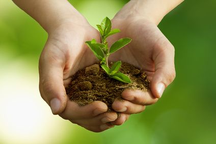 Trouver un projet de vie  comment réussir à tous les coups