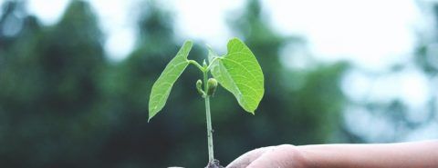 Trouver un projet de vie  comment réussir à tous les coups