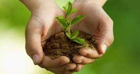 Définir son projet de vie