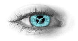 introspection