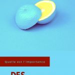 Quelle est l'importance des "Pourquoi" ?