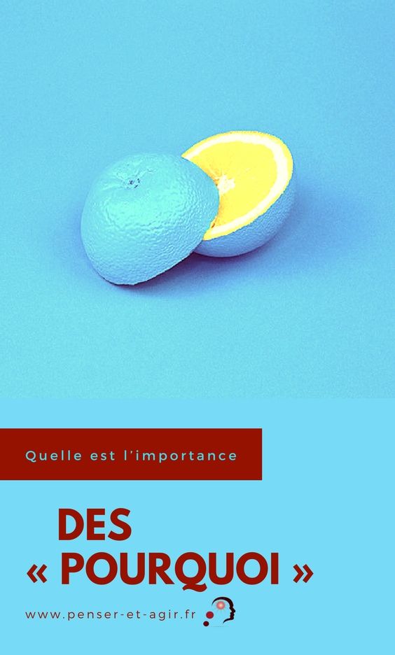 Quelle est l'importance des