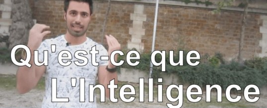 Qu’est ce que l’intelligence ?