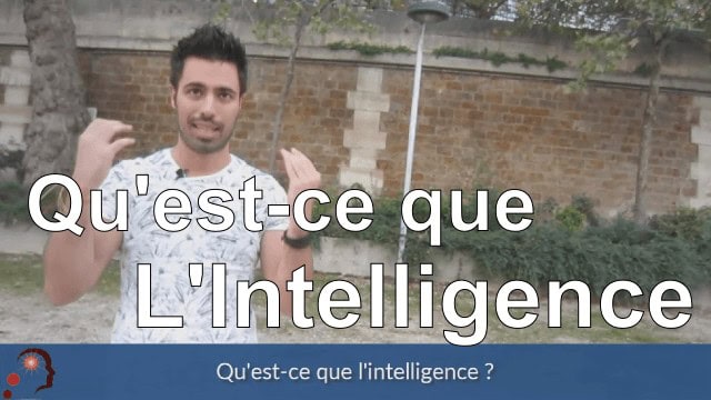 Qu’est ce que l’intelligence ?