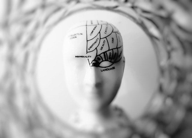 Les 5 longueurs d’onde de votre cerveau