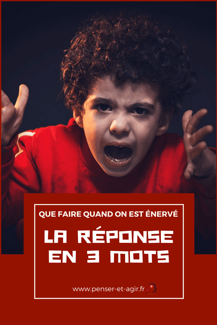 Que faire quand on est énervé : la réponse en 3 mots
Si vous vous demandez que faire quand on est énervé, vous pouvez trouver la réponse en 3 mots dans cet article: il explique que vous devez vous poser les bonnes questions, agir de façon à ne provoquer aucun dégât irréparable, mais aussi, choisir de vous détendre pour que la colère baisse et vous permette de réfléchir.