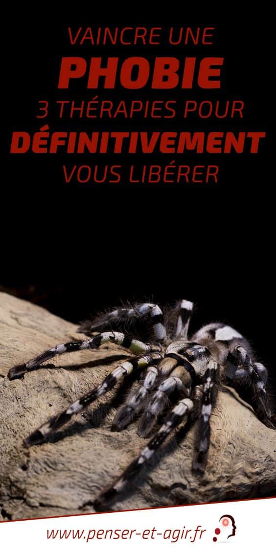 Vaincre une phobie : 3 thérapies pour définitivement vous libérer
De quoi avez-vous peur ? Araignée, hauteur, avions, espaces clos ? Avec ces 3 thérapies, vaincre une phobie sera pour vous un jeu d'enfant. La 3e va vous...