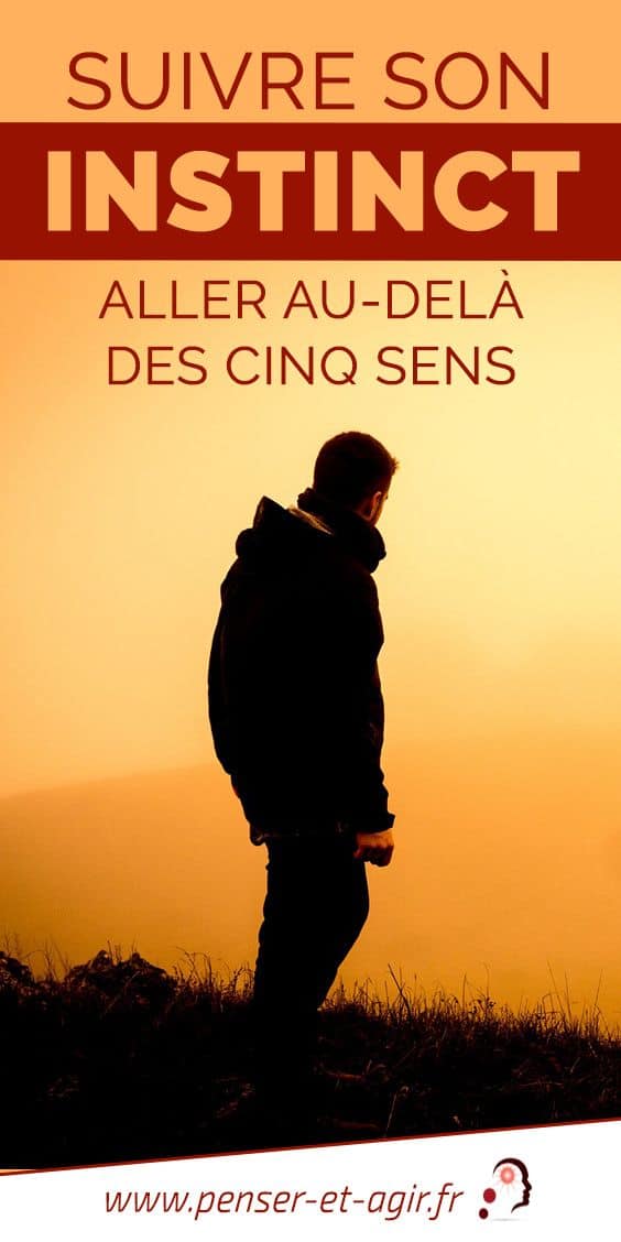 Suivre son instinct, aller au-delà des cinq sens
Découvrez dans cet article comment suivre son instinct peut vous sauver de situations incroyables. On pense souvent que l'intuition a un rapport avec la...