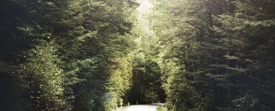 Comment reconnaître le moment de l’éveil spirituel dans sa vie ?