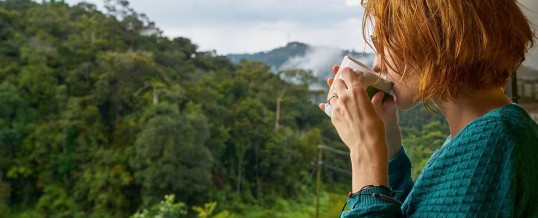 Miracle Morning : se lever tôt pour réussir sa vie