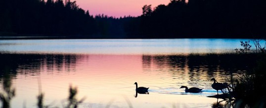 Slow life : comment adopter l’art de ralentir ?