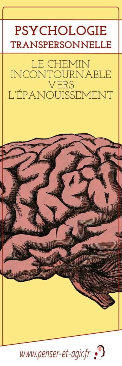 Psychologie transpersonnelle : le chemin incontournable vers l’épanouissement
La psychologie transpersonnelle encourage l\'individu à prendre conscience de sa dimension spirituelle pour trouver le bonheur. Elle a été développée par...