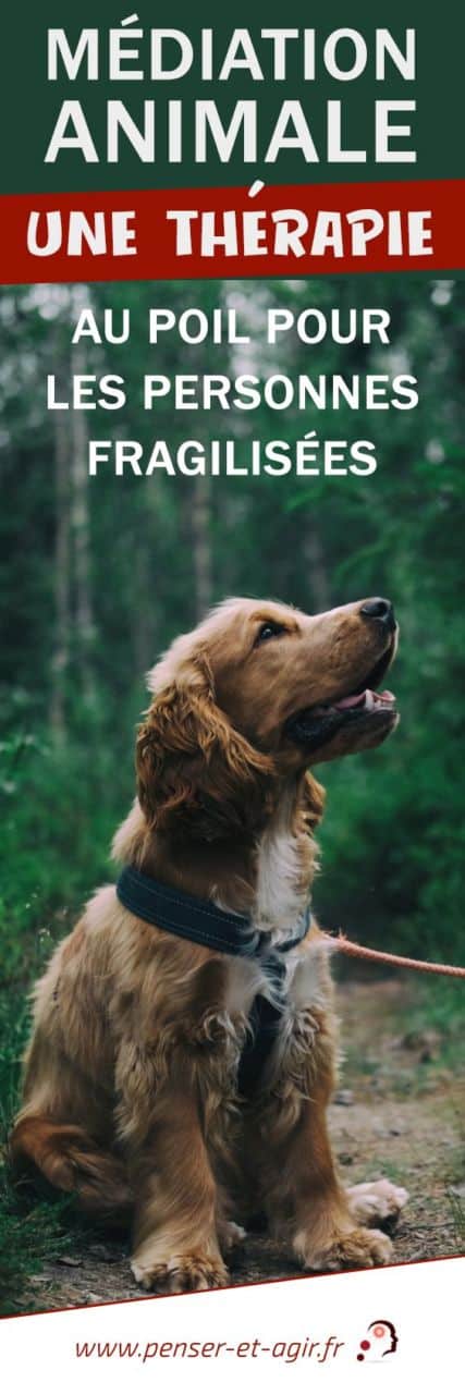 Médiation animale : une thérapie au poil pour les personnes fragilisées
La médiation animale est une thérapie qui consiste à utiliser un animal pour aider un patient à extérioriser ses sentiments. Et si ça pouvait vous aider ?
