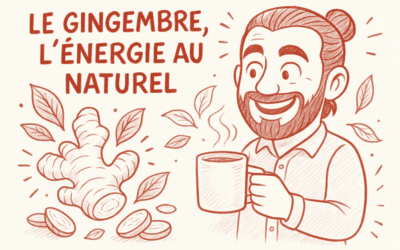 Bienfaits du gingembre sur la santé et ses propriétés thérapeutiques
