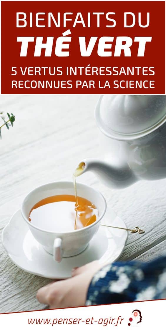 Bienfaits du thé vert : 5 vertus intéressantes reconnues par la science
Que savez-vous des incroyables bienfaits du thé vert ? Réduction du stress, perte de poids, stimulation du métabolisme, traite...