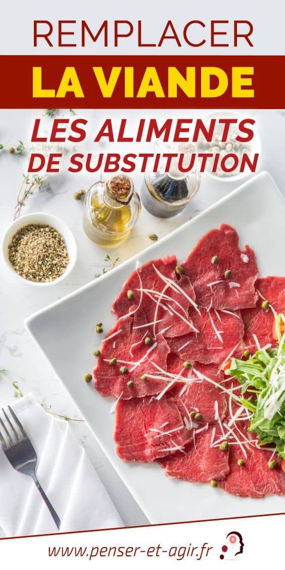 Remplacer la viande : les aliments de substitution
Nous sommes plusieurs à vouloir remplacer la viande. Cela pour des raisons éthiques ou de santé. Mais comment éviter de consommer cet aliment ?