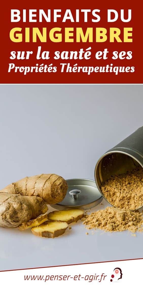 Bienfaits du gingembre sur la santé et ses propriétés thérapeutiques
Les bienfaits du gingembre sur la santé sont reconnus depuis longtemps. Mais quelles sont ses vertus et comment faut-il consommer ce condiment ?