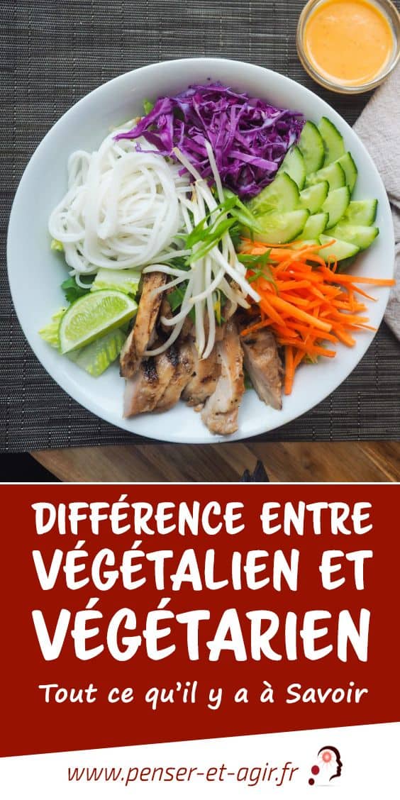 Différence entre végétalien et végétarien : tout ce qu\'il y a à savoir
La différence entre végétalien et végétarien est bien plus nombreuse qu\'on ne le croit. Découvrez tout ce qui différencie ces deux modes de vie.