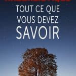 Arbre de vie kabbalistique : tout ce que vous devez savoir