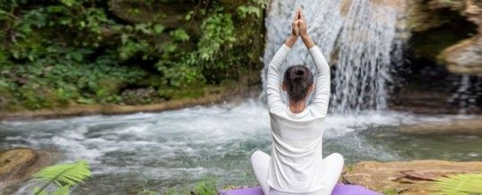 Chakra racine :  le premier des 7 principaux chakras du corps humain