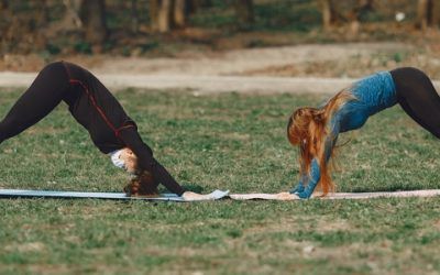 Les différents types de yoga : comment faire votre choix ?