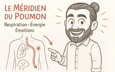 Méridien du poumon : tout ce que vous devez savoir à son sujet