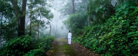 Méditation vipassana : une voie vers notre être intérieur