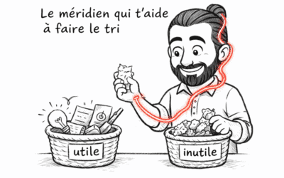 Méridien de l’intestin grêle : optimisez votre cerveau physiologique