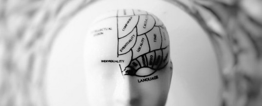 Méridien de l’intestin grêle : optimisez votre cerveau physiologique