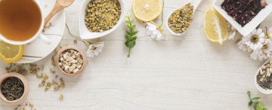 La phytothérapie : se soigner par les plantes, c’est possible