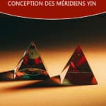 Le Ren Mai : l’extraordinaire Vaisseau Conception des méridiens yin