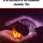 Le Yin qiao mai : à la découverte du vaisseau chenille Yin