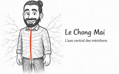 Chong mai : à la découverte du vaisseau pénétrant