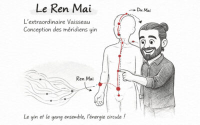 Le Ren Mai : l’extraordinaire Vaisseau Conception des méridiens yin