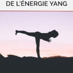 Yang wei mai, le merveilleux vaisseau stabilisateur de l’énergie yang