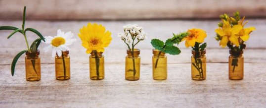 Fleurs de Bach pour dormir : le cocktail détonnant pour mieux dormir
