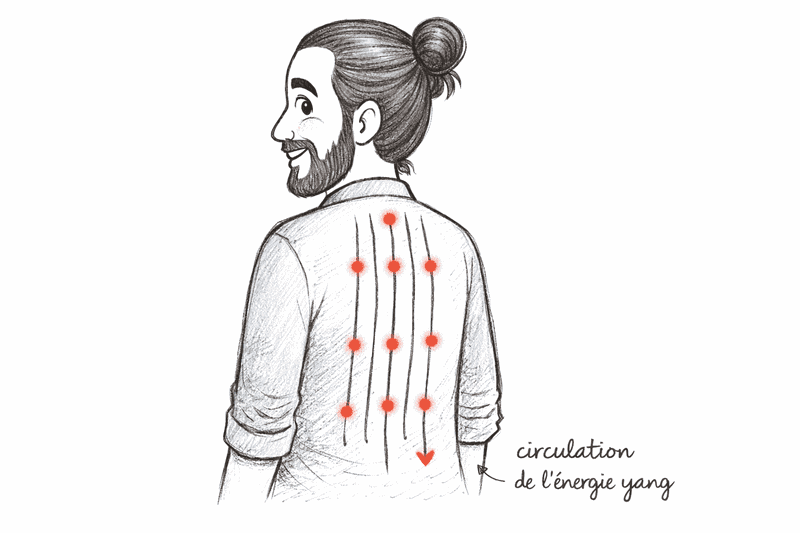 Le trajet de l’énergie yang