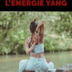Les différents points de circulation de l’énergie yang