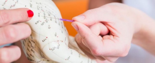 Les méridiens extraordinaires : zoom sur leurs rôles respectifs