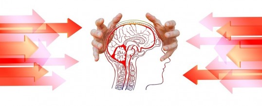 Neurofeedback dynamique : la technique ultime pour optimiser le cerveau