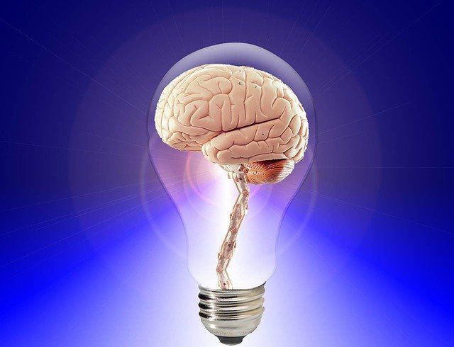 neurofeedback dynamique