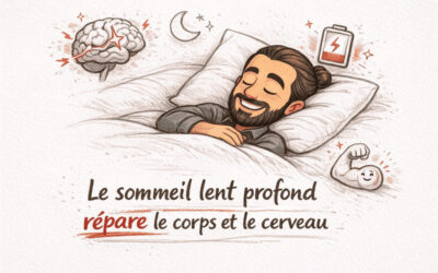 Sommeil lent profond : l’essentiel sur cette phase du sommeil