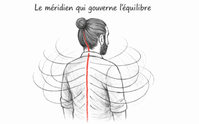 Vaisseau gouverneur : Le Du Mai, le merveilleux mer du Yang