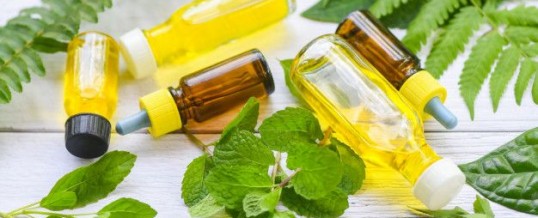 Le massage abhyanga ou le massage à huile de la médecine ayuvérdique
