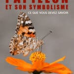 Animal totem papillon : votre guide spirituel pour ouvrir de nouvelles portes