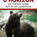 animal totem ours