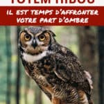 animal totem hibou