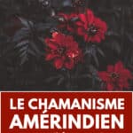 chamanisme amerindien