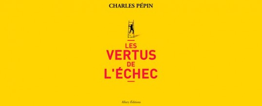 Les vertus de l’échec : un livre qui change votre regard sur les échecs